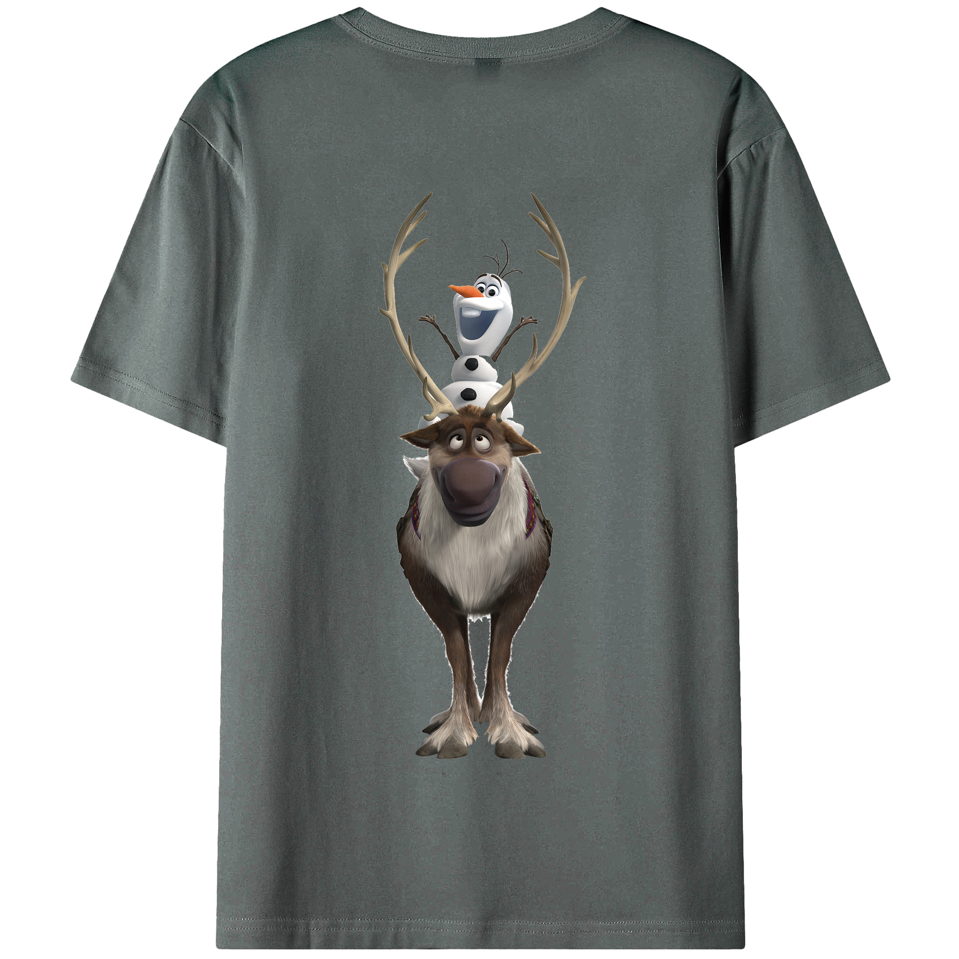 （画像用） アナと雪の女王 アンナ エルサ Frozen Anna Elsa 綿100％半袖Tシャツ（背面プリント）